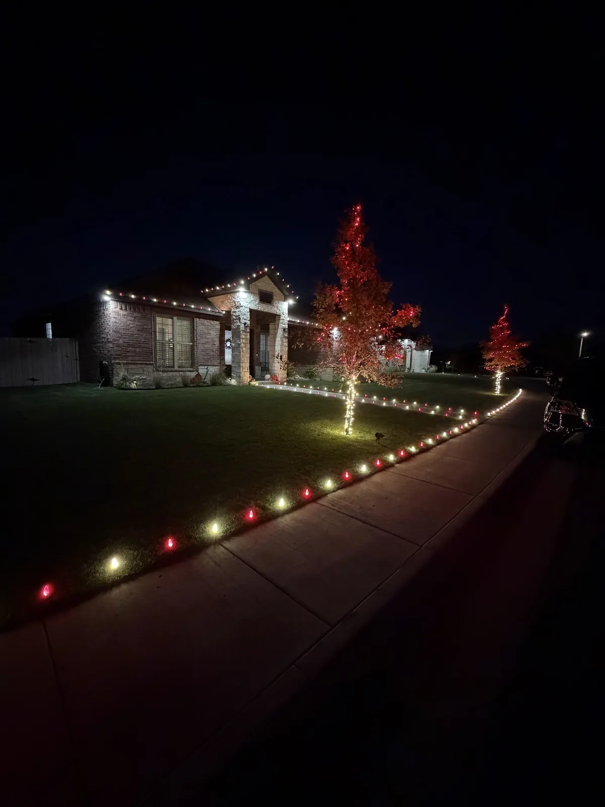 T'n D Christmas light install — full roofline and trees